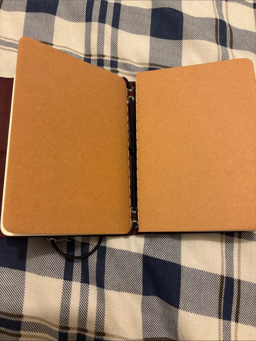 Louise Carmen style leather journal
